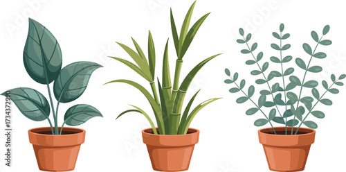 Minimal indoor plant illustration, potted greenery decor, modern home design, terracotta pots, natural light, flat vector, botanical houseplants, aesthetic art