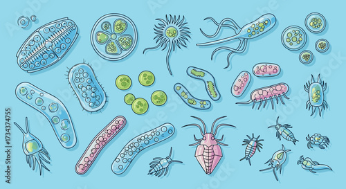 Hand-drawn doodle svg vector illustration of microorganisms, bacteria, and protozoa for science.