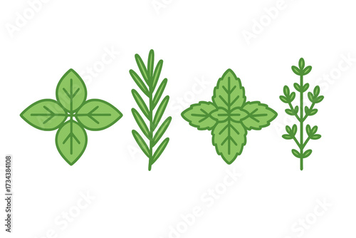 Collection of fresh culinary herbs including basil, rosemary, mint, and thyme for cooking and seasoning