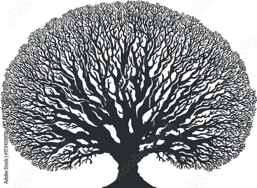 A detailed silhouette of a large tree with intricate branches and a broad canopy..