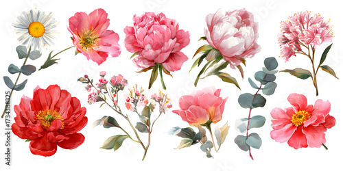 Botanical pink flower set with leaves and blossoms, floral collection watercolor illustration isolated on transparent background for decor

