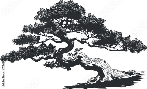 A detailed silhouette of a majestic tree with intricate branches and foliage..