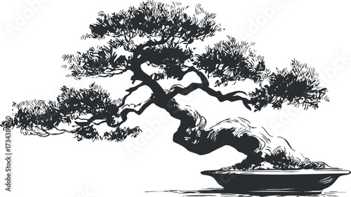 Stylized silhouette of a bonsai tree in a decorative pot showcasing nature's beauty and tranquility..