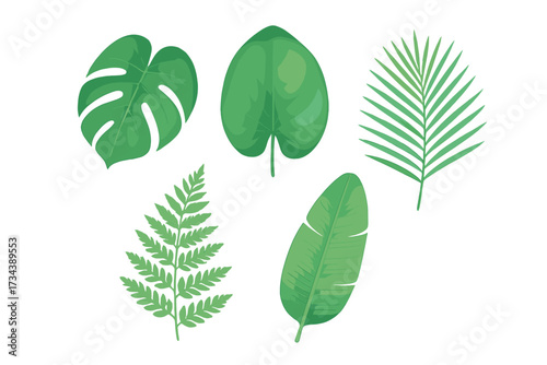 Diverse collection of vibrant green tropical jungle leaves featuring monstera, palm frond, banana leaf, and fern