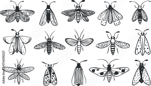 A collection of black and white illustrations of various moths and insects for decorative use..
