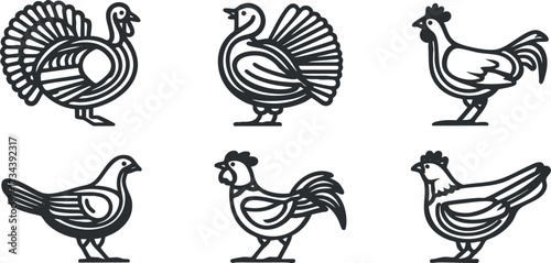 A collection of cute outlined illustrations of various poultry including chickens and turkeys..