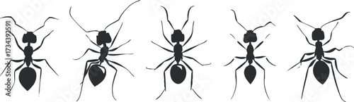Set of black silhouette ants showcasing different poses and movements in nature..