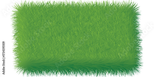 A vibrant green rectangular patch of grass with soft feathery illustrated edges.