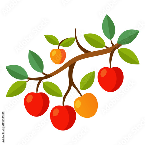 Apple Tree Branch Vector