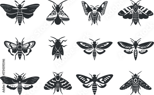 A collection of twelve black silhouette illustrations of various moths and butterflies..