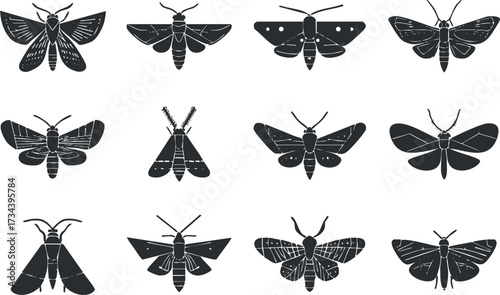 Collection of various moth silhouettes in black and white on a clean background..