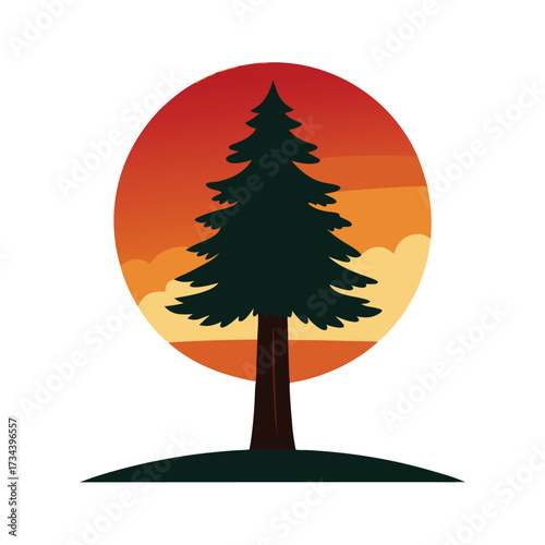 Sunset Over a Quiet Redwood Tree on white background
