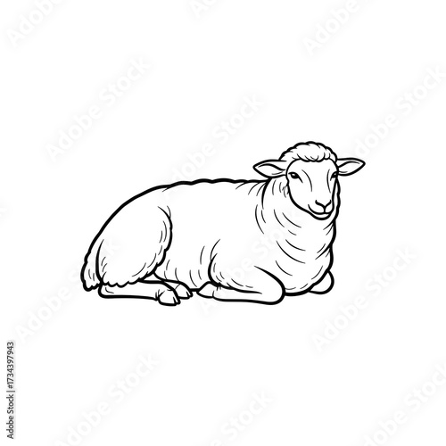 Sheep lying down in a simple line art style representing Christmas  