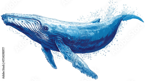 Blue Whale Vector Art for Professional Use