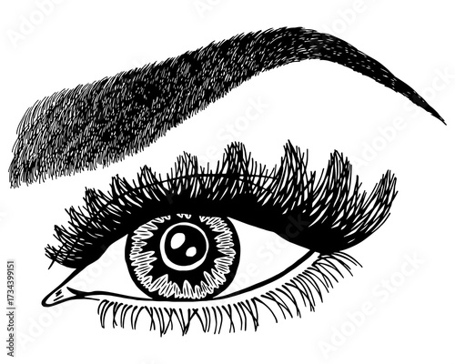 Illustration with woman's eye, eyelashes and eyebrow. Makeup Look. Tattoo design. Logo for brow bar or lash salon.