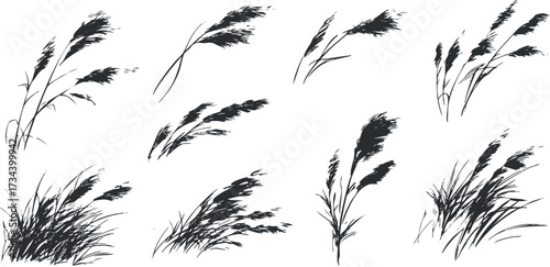 A collection of silhouette illustrations of various grasses and plants for design and decoration..