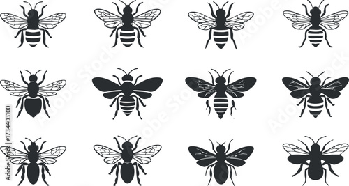 A collection of black and white bee illustrations showcasing various bee designs and poses..