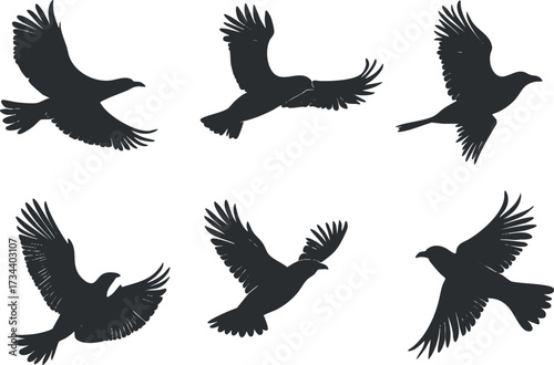 A collection of bird silhouettes in flight showcasing elegance and freedom in nature..