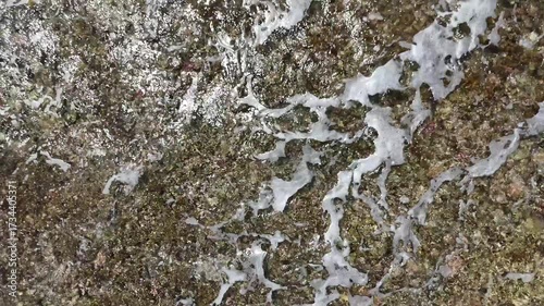 Wallpaper Mural 美しいタハア島を空撮 Torontodigital.ca