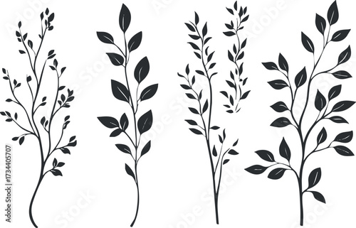 A collection of elegant silhouette branches with leaves, perfect for botanical and floral designs..