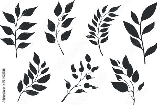 A collection of stylized black leaves and branches showcasing various botanical designs..