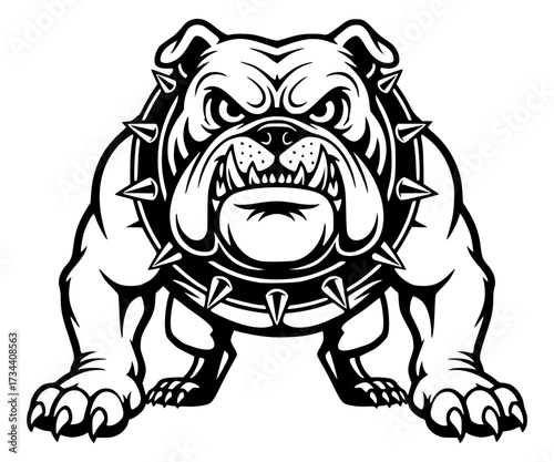 Aggressive Bulldog Mascot with Spiked Collar Standing and Snarling, bulldog, aggressive, mascot, dog, angry