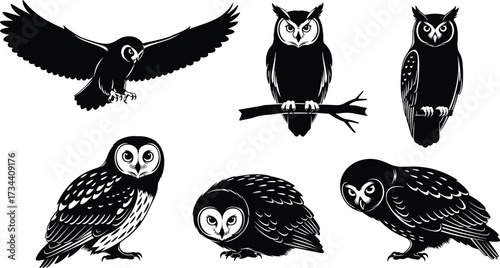 Black and white owl vector illustration, flying owl, perched owl, nocturnal bird art, wildlife design, tattoo style silhouette