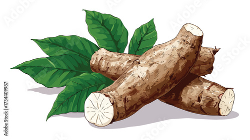 Fresh Cassava Roots Vector Illustration for Culinary Designs