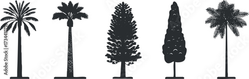 Silhouette illustrations of various trees including palms and cypress in a minimalist style.