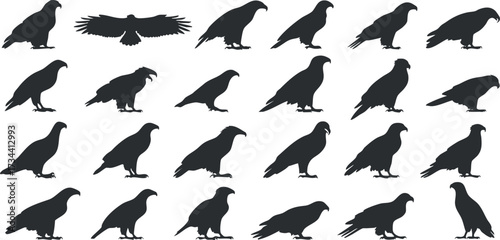 A collection of bird silhouettes showcasing various species in different poses and angles..
