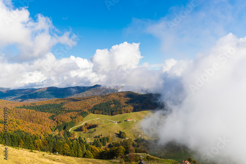 Cansiglio plateau