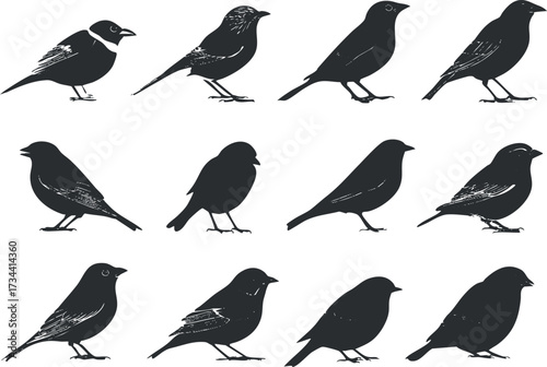 A collection of black bird silhouettes showcasing various species in a minimalist design..