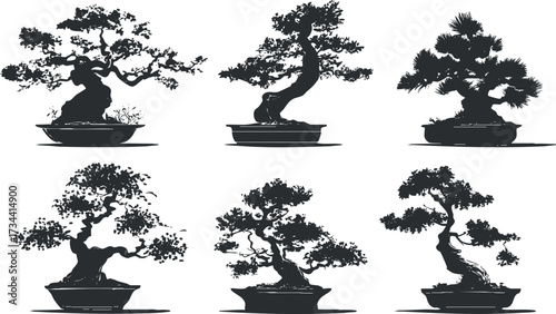 A collection of six elegant bonsai tree silhouettes displayed in unique pot designs.