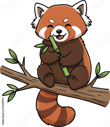 Red Panda