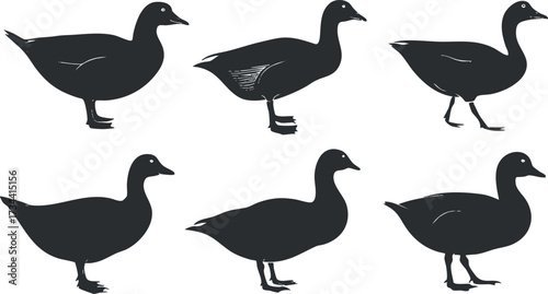 A collection of stylized duck silhouettes depicting various poses and movements in nature..