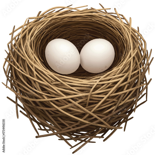 A realistic 2D vector illustration displays a brown bird's nest with two speckled eggs, isolated on a clean white background, symbolizing new life, growth, and the anticipation of spring.