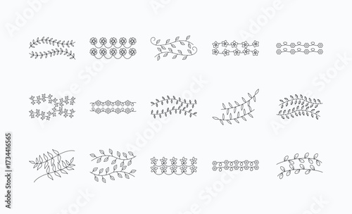 Hand Drawn Botanical Line Graphic Pack