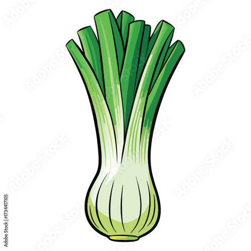 Illustration of a leek, a healthy vegetable