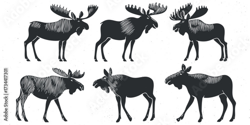 A collection of stylized moose illustrations in black and white showcasing different poses and angles..