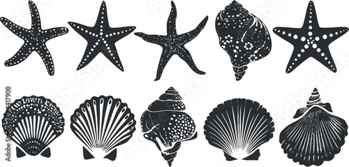 A collection of black and white illustrations of starfish and shells representing marine life..