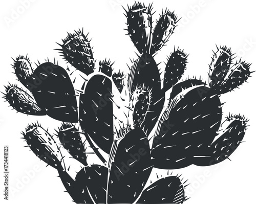 A detailed black and white illustration of a cactus plant with spiny pads and texture..