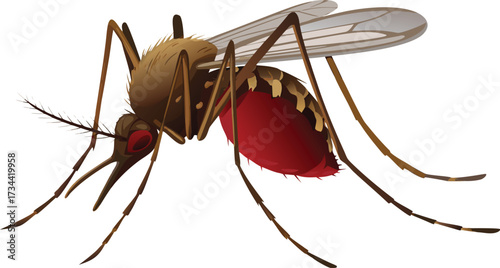 Macro close-up of a red ant, an isolated insect pest, and a mosquito sucking blood on a white background