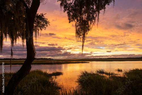 Beautiful sunset over a serene river with trees and grasses at dusk in a tranquil natural setting