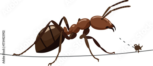 Close-up ant macro detailed insect nature wildlife photography vector
