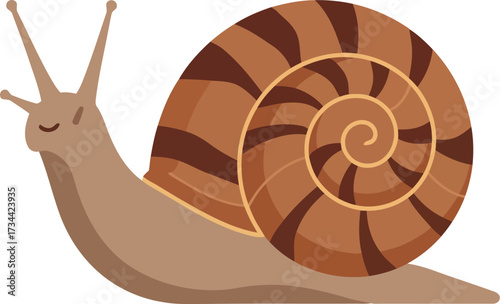 Curious snail crawling with detailed swirl shell vector