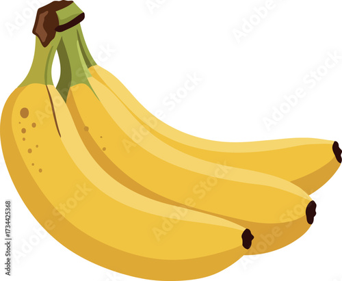 Fresh ripe bananas bunch healthy tropical fruit isolated vector