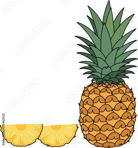 Tropical pineapple fruit slices fresh healthy food illustration vector