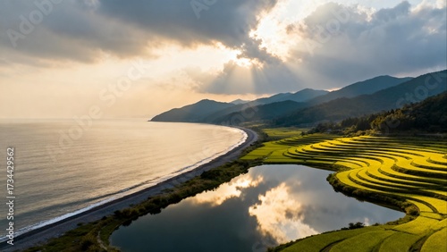 Coastal terraced fields at sunset