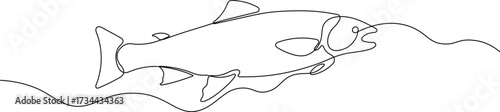 One line art fish. Minimalist continuous line drawing vector illustration