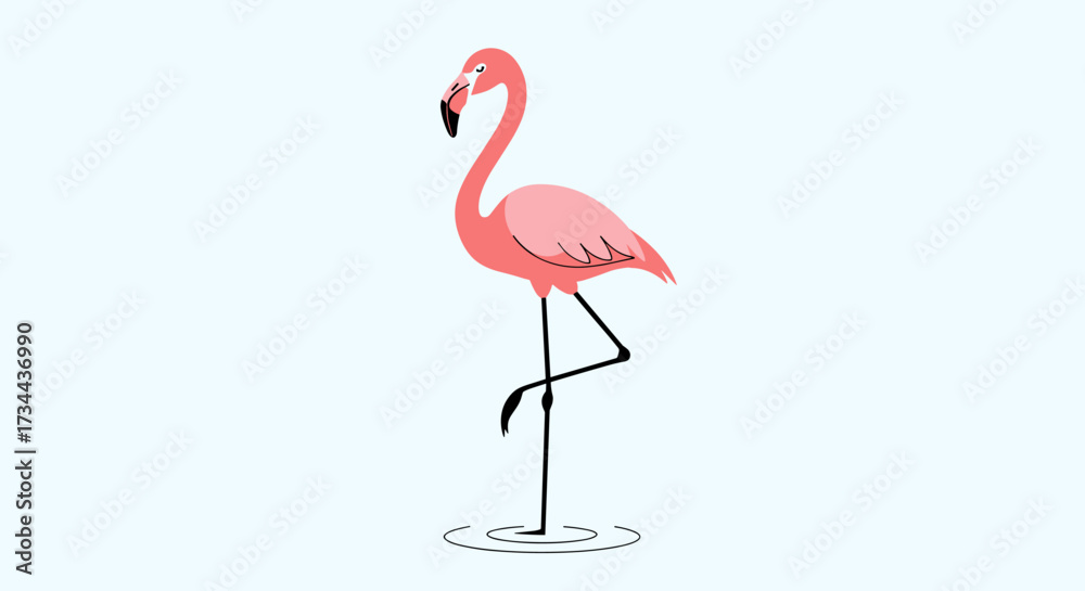 Fototapeta premium A single elegant pink flamingo standing on one leg in shallow water.